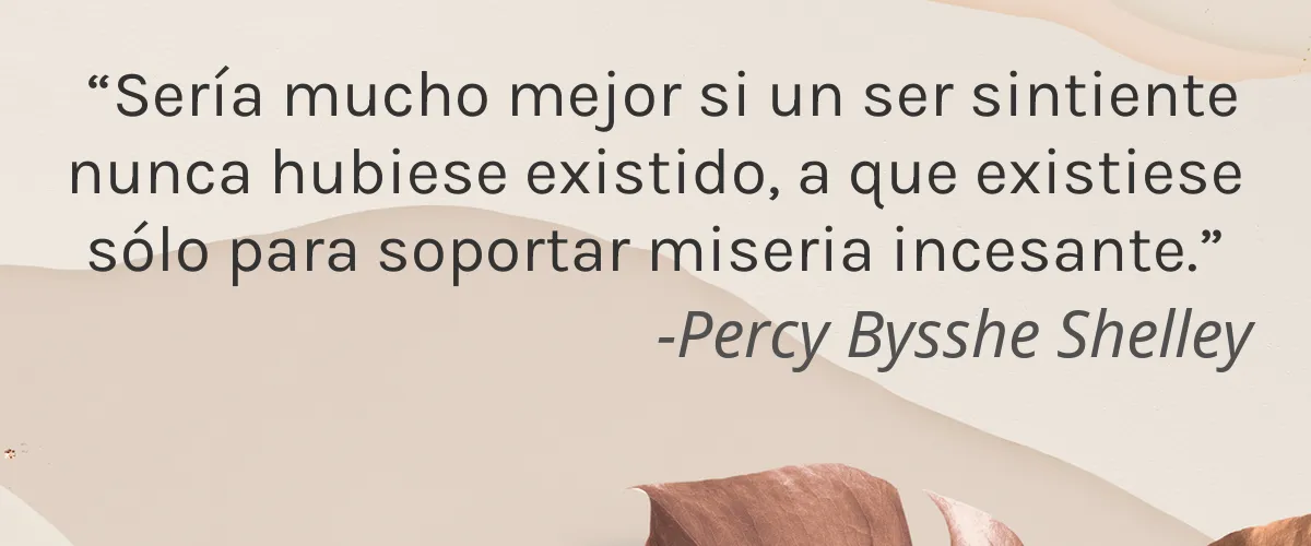 Plume Cosmetics 4 Cruelty Free Plume Cosmetics cita-Percy Bysshe Shelley