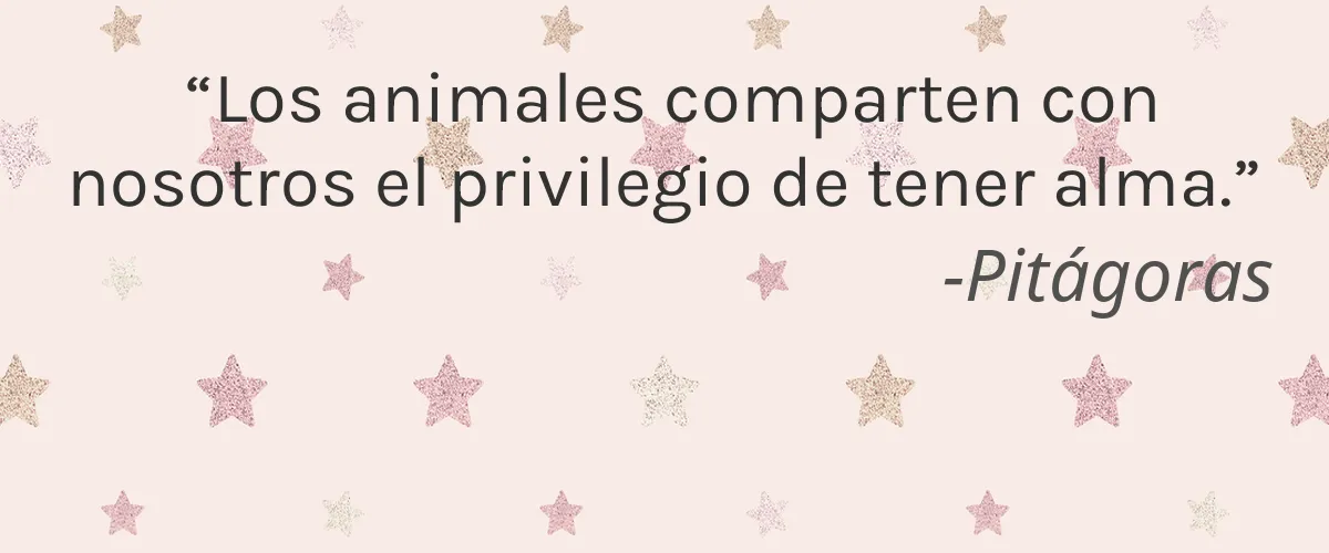 Cruelty Free Plus Products Incorporated cita-Pitágoras