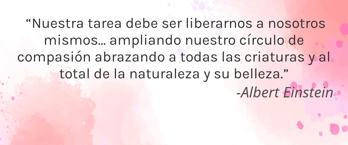 Pogo 4 Cruelty Free Pogo cita-Albert Einstein