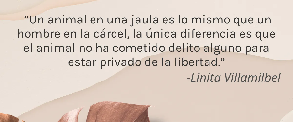 POUR le MONDE 4 Cruelty Free POUR le MONDE cita-Linita Villamilbel