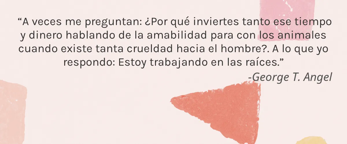 Powerella 4 Cruelty Free Powerella cita-George T. Angel