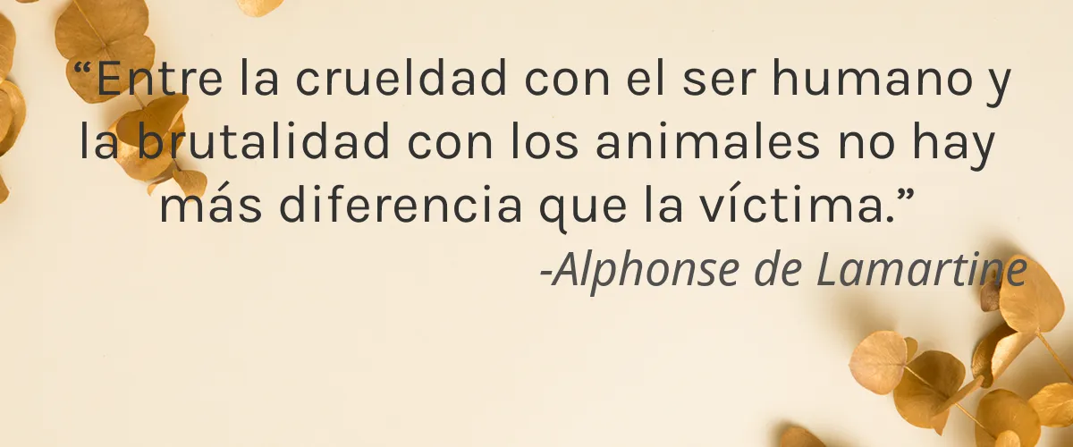 Cruelty Free POYA cita-Alphonse de Lamartine