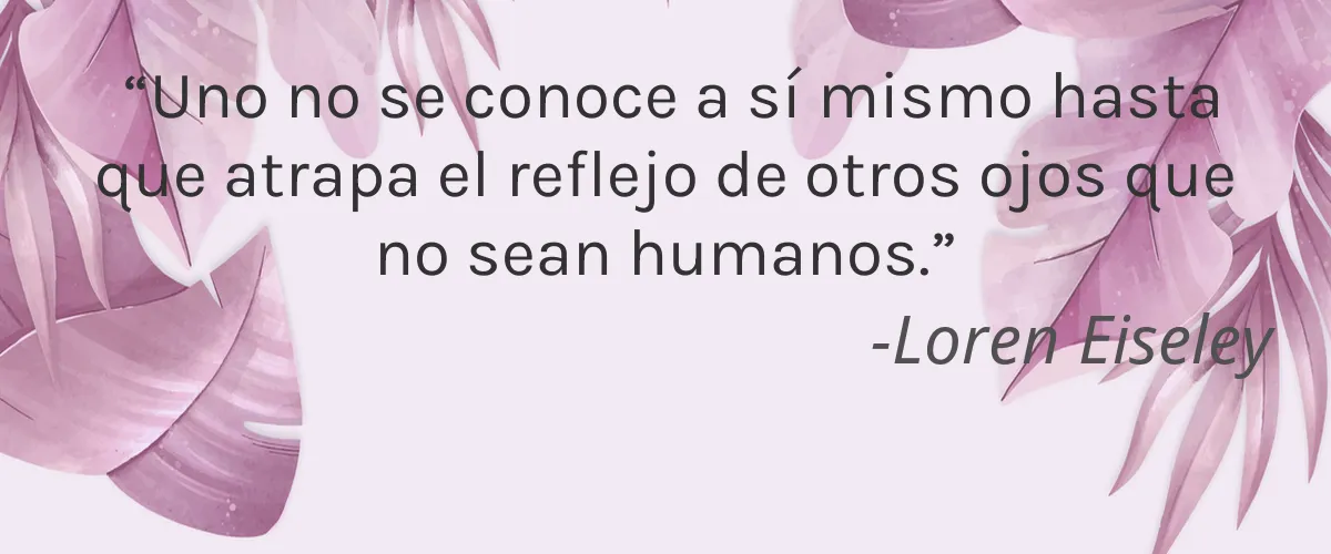 PRAVA ESENCIA 4 Cruelty Free PRAVA ESENCIA cita-Loren Eiseley