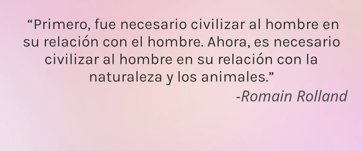 Preserve Products 4 Cruelty Free Preserve Products cita-Romain Rolland