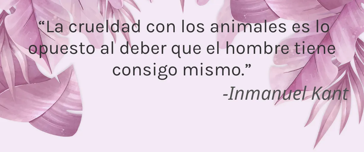Previa Haircare 4 Cruelty Free Previa Haircare cita-Inmanuel Kant