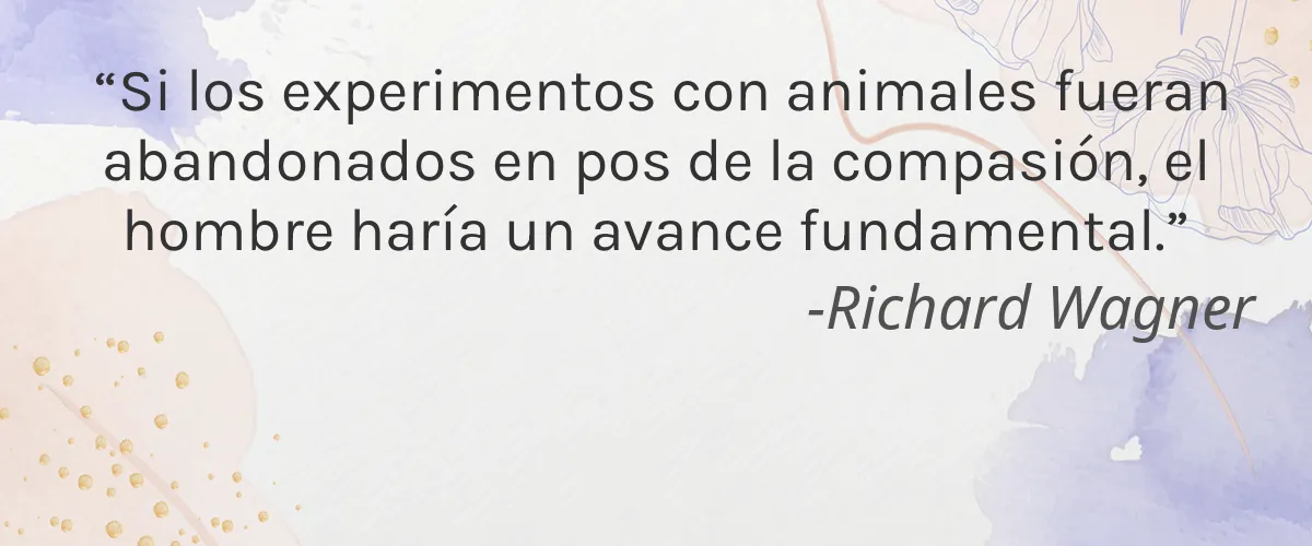 PRIMARK - PS... 5 Cruelty Free PRIMARK - PS... cita-Richard Wagner