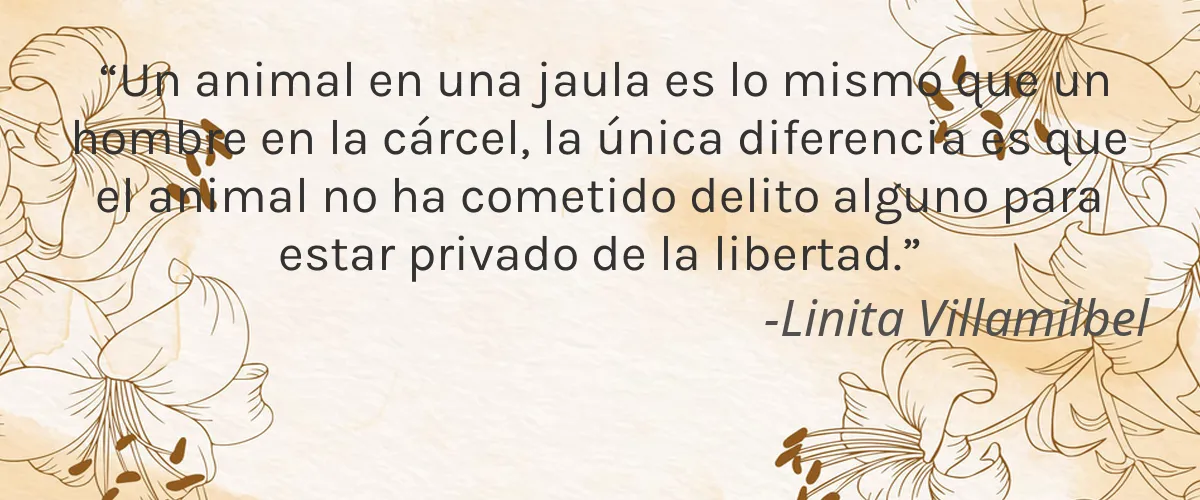 Pro Vital 4 Cruelty Free Pro Vital cita-Linita Villamilbel
