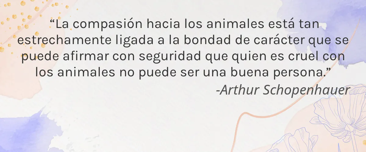 PT. Paragon Technology and Innovation 4 Cruelty Free PT. Paragon Technology and Innovation cita-Arthur Schopenhauer