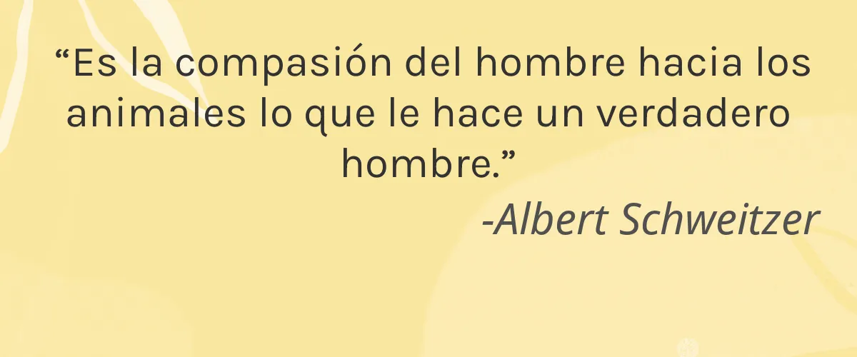 Pura Botanica 4 Cruelty Free Pura Botanica cita-Albert Schweitzer