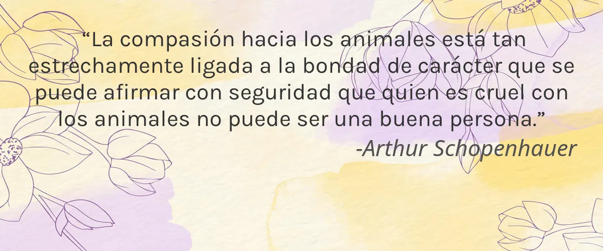 Pure K 4 Cruelty Free Pure K cita-Arthur Schopenhauer