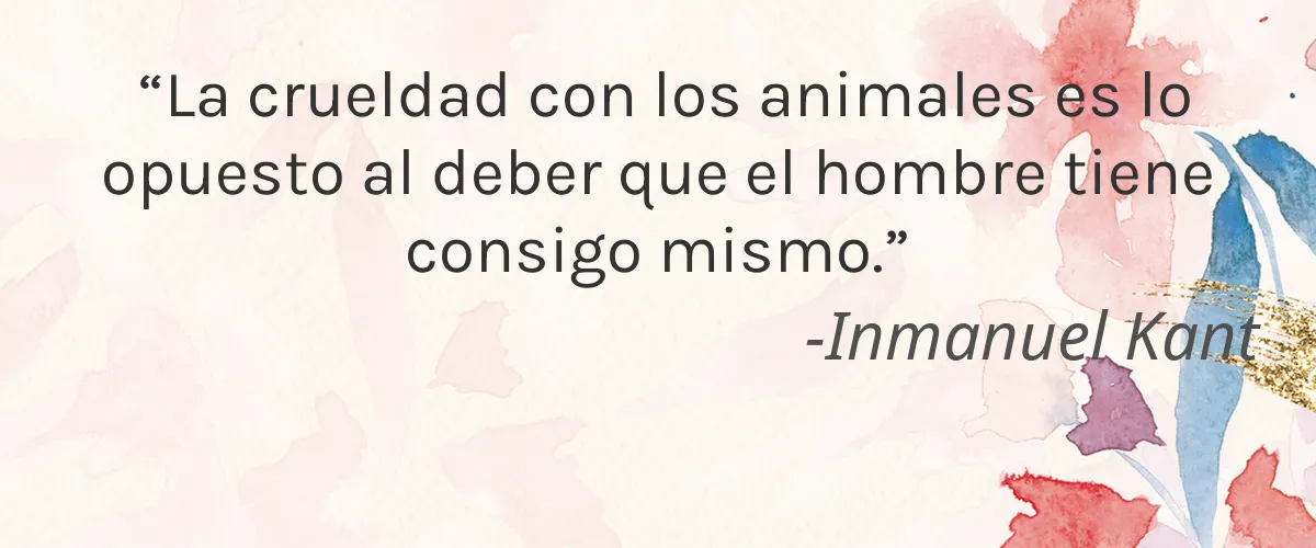 Pure Sense 4 Cruelty Free Pure Sense cita-Inmanuel Kant