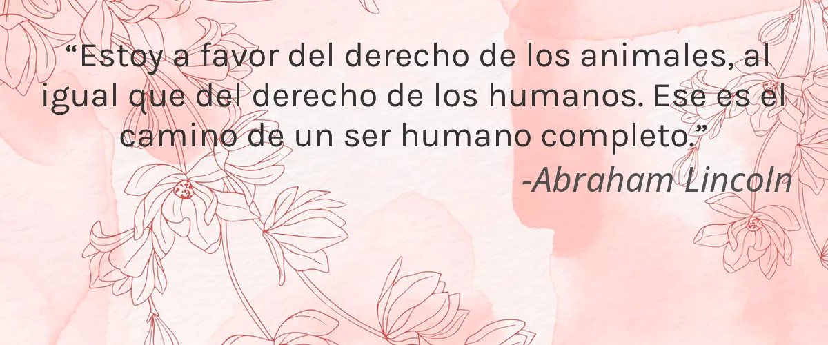 pureheaven 4 Cruelty Free pureheaven cita-Abraham Lincoln