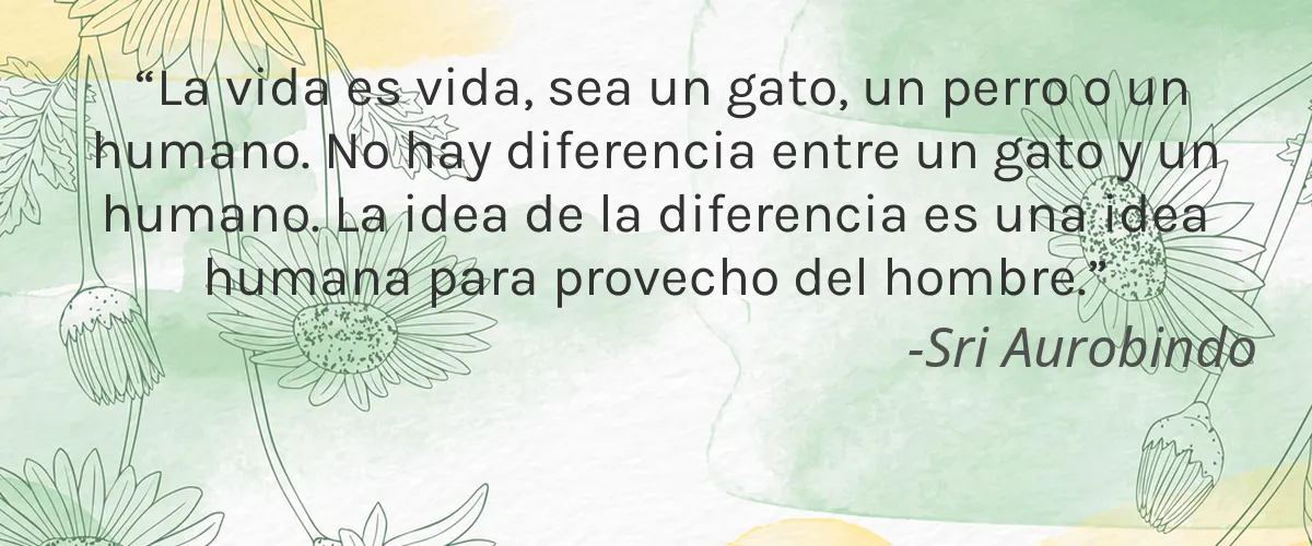 Purple Taxi 4 Cruelty Free Purple Taxi cita-Sri Aurobindo