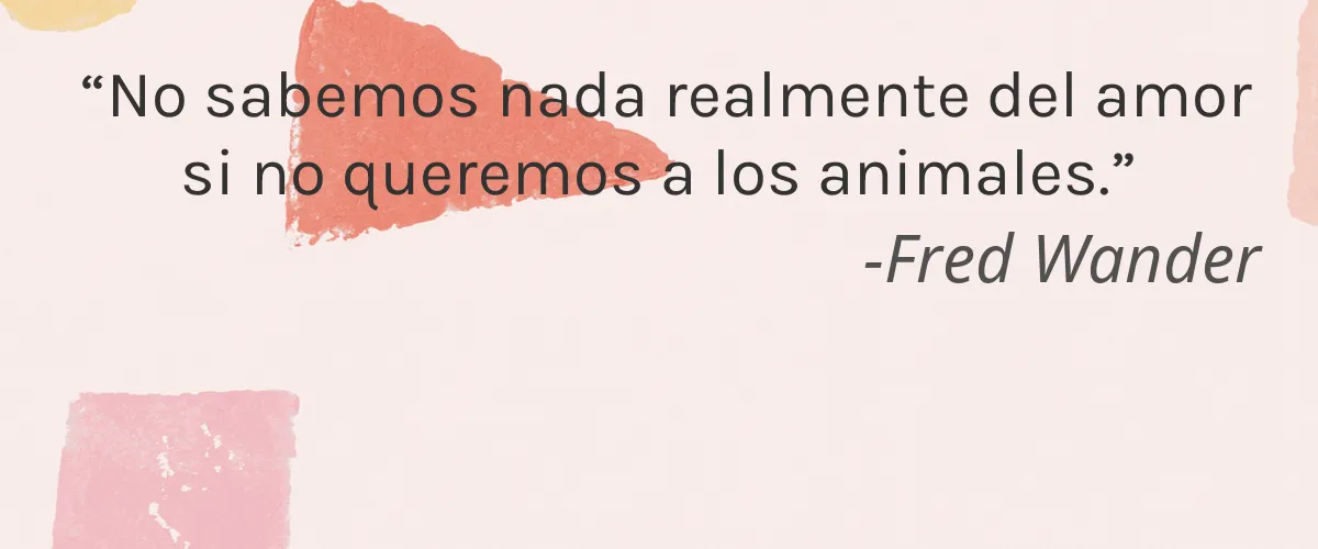 Qamare’ 4 Cruelty Free Qamare cita-Fred Wander