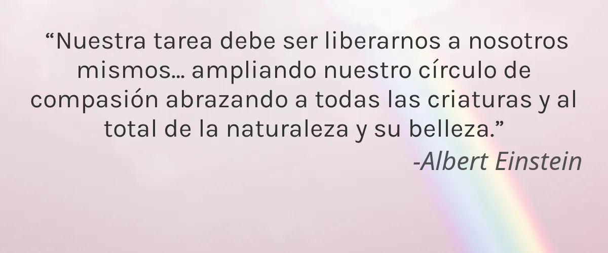 QT Cosmetics 4 Cruelty Free QT Cosmetics cita-Albert Einstein