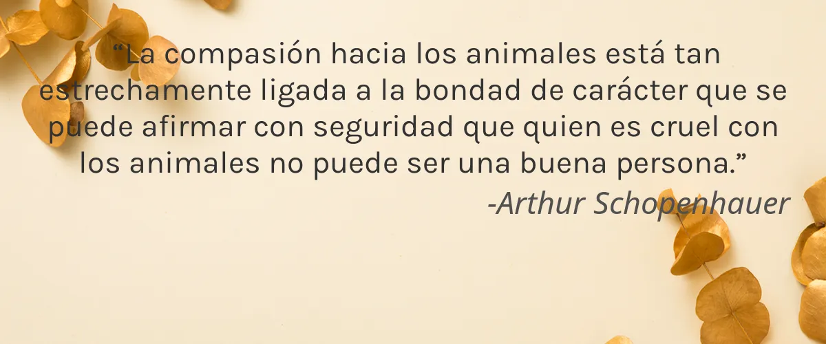Cruelty Free QyC Mexico cita-Arthur Schopenhauer