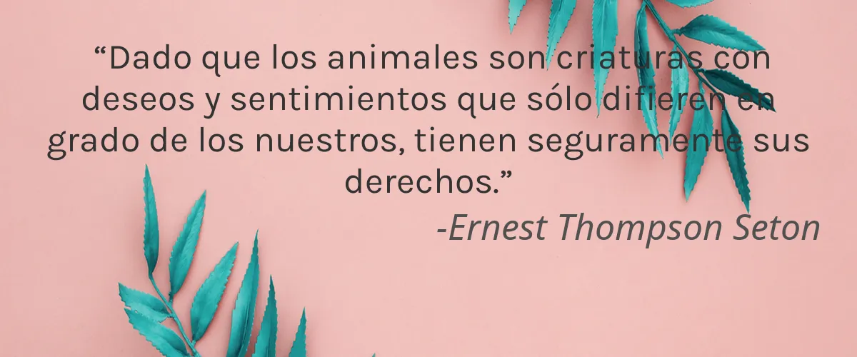 Raffaele Ruberto 4 Cruelty Free Raffaele Ruberto cita-Ernest Thompson Seton