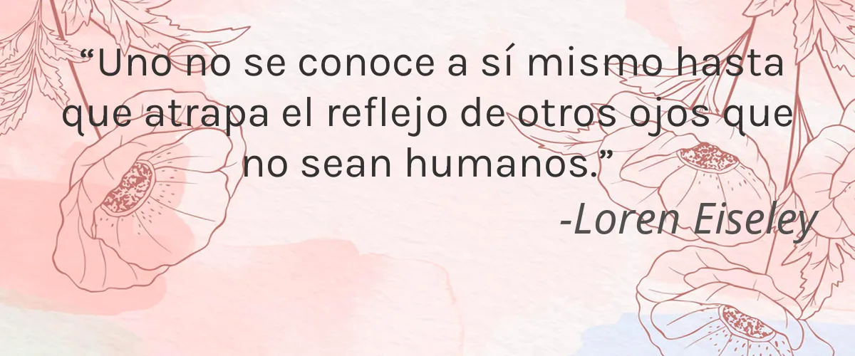 Ratchaprao 4 Cruelty Free Ratchaprao cita-Loren Eiseley