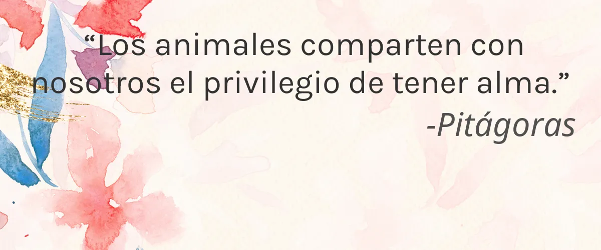 RAW NAILS 4 Cruelty Free RAW NAILS cita-Pitágoras