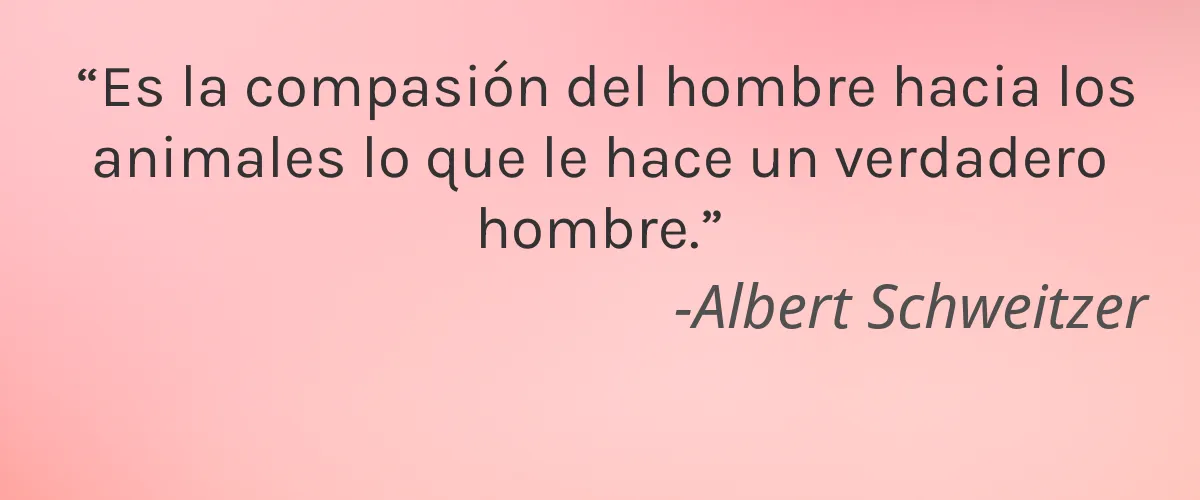 Cruelty Free Revolution Beauty cita-Albert Schweitzer