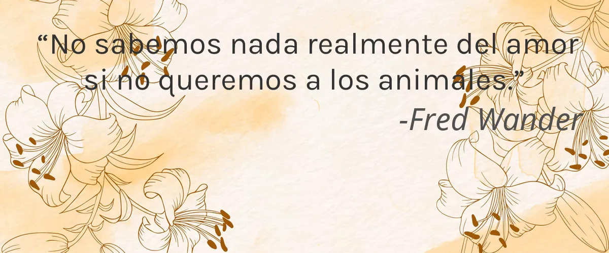 Rhyme & Reason 4 Cruelty Free Rhyme & Reason cita-Fred Wander