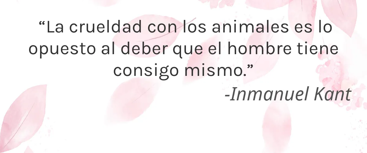 Roma Natural 4 Cruelty Free Roma Natural cita-Inmanuel Kant