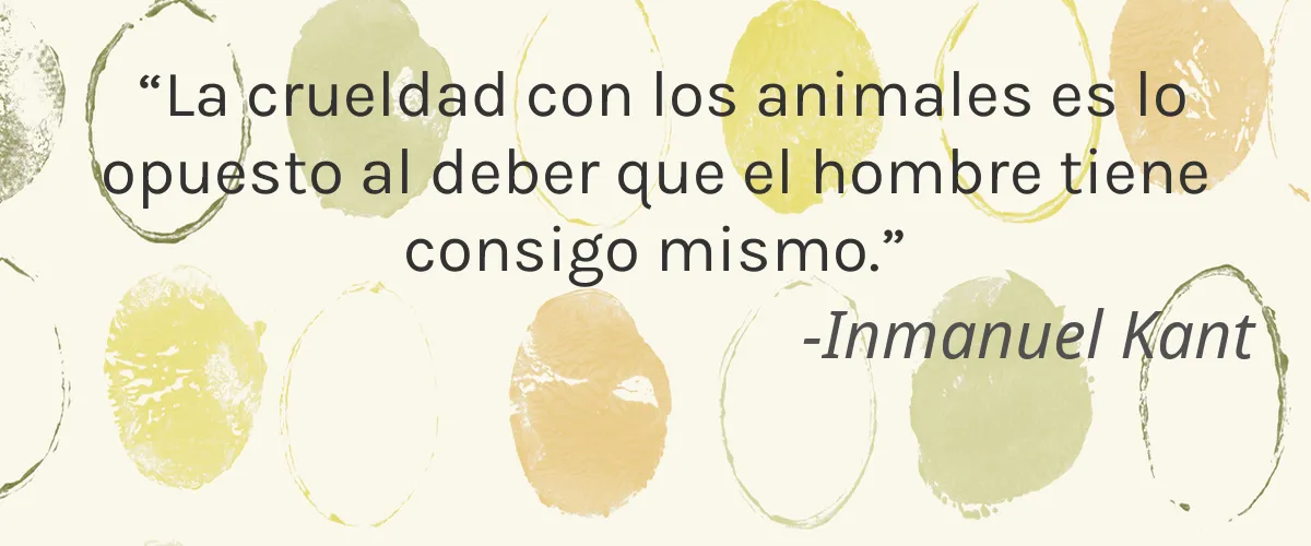 SAINT ALABASTER 4 Cruelty Free SAINT ALABASTER cita-Inmanuel Kant