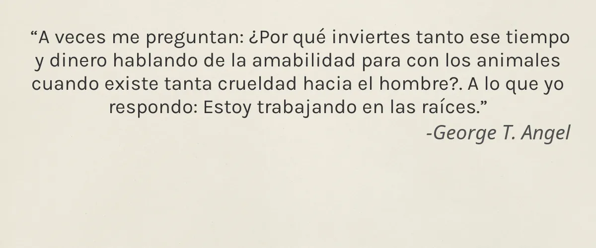 Salvatore Ferragamo 4 Cruelty Free Salvatore Ferragamo cita-George T. Angel