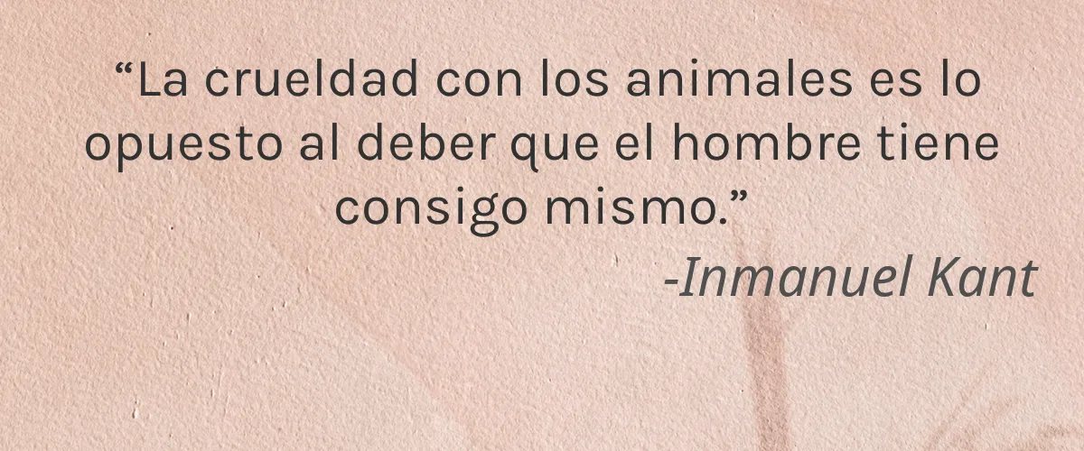 Salzquell 4 Cruelty Free Salzquell cita-Inmanuel Kant