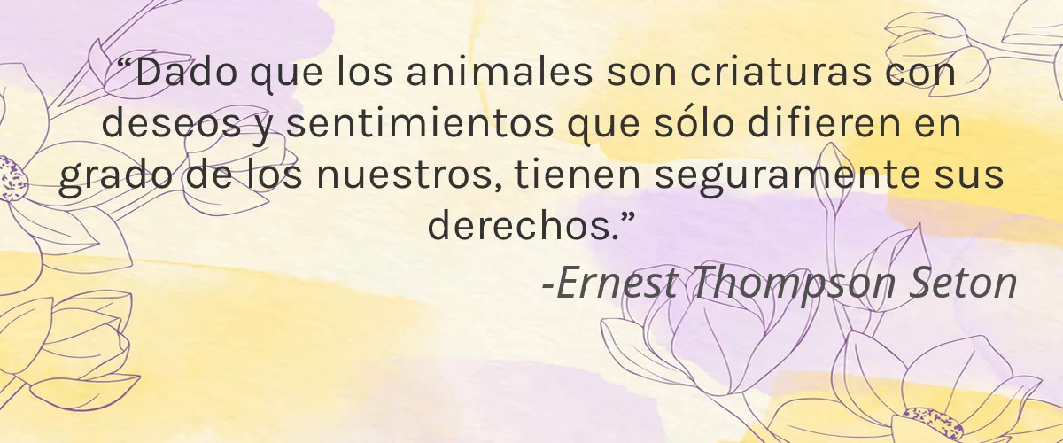 San Soaps 4 Cruelty Free San Soaps cita-Ernest Thompson Seton