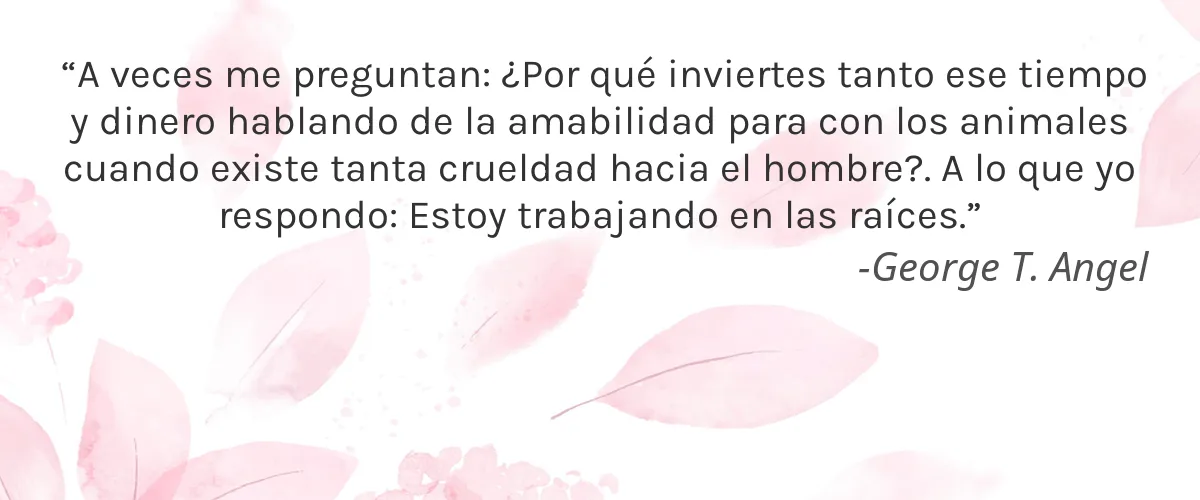 Sapo All Natural 4 Cruelty Free Sapo All Natural cita-George T. Angel
