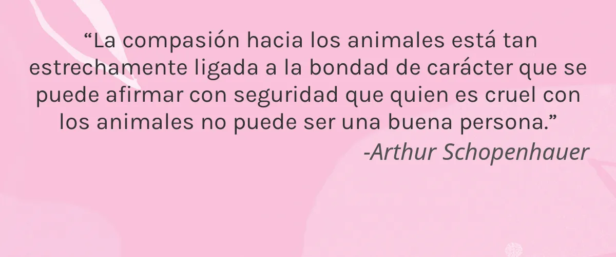 Sara Happ 4 Cruelty Free Sara Happ cita-Arthur Schopenhauer
