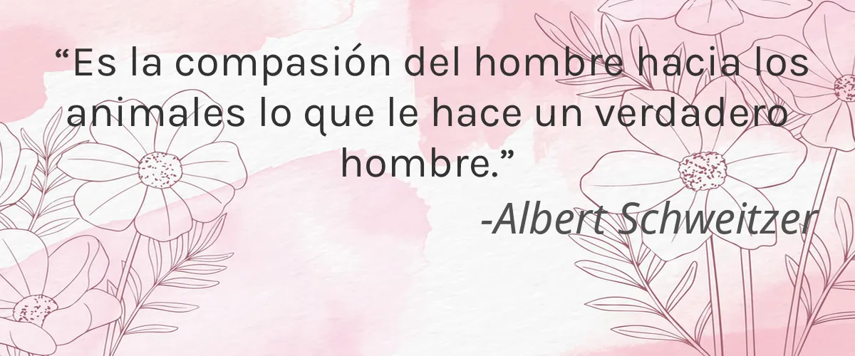 Sarah Jean 4 Cruelty Free Sarah Jean cita-Albert Schweitzer