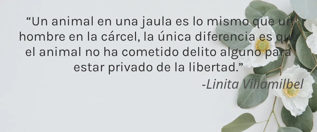 SATIVA Skincare 4 Cruelty Free SATIVA Skincare cita-Linita Villamilbel