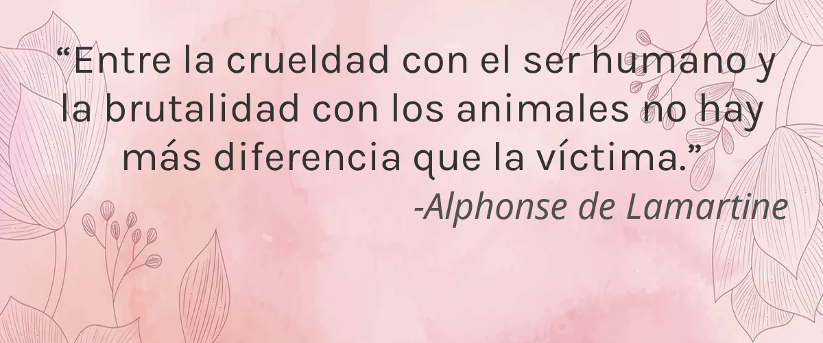 Scentsational Soaps 4 Cruelty Free Scentsational Soaps cita-Alphonse de Lamartine