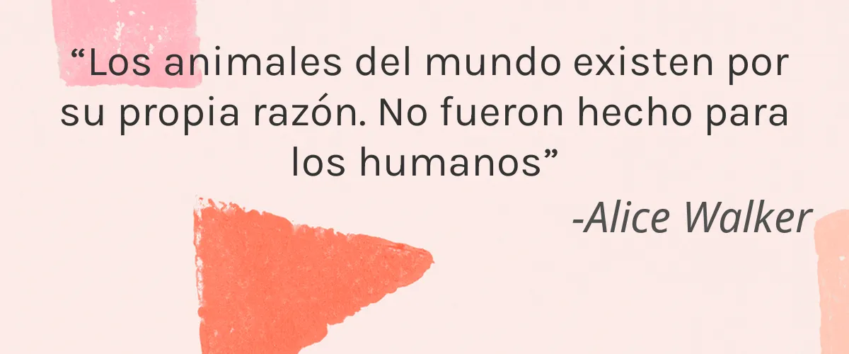 Seda 4 Cruelty Free Seda cita-Alice Walker