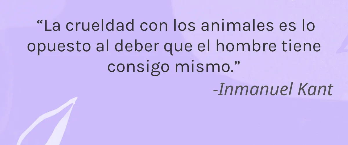 Seebinger Hemp 4 Cruelty Free Seebinger Hemp cita-Inmanuel Kant