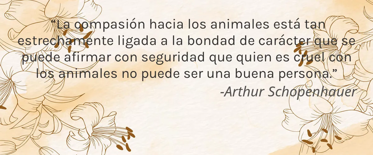 Seed and Soul 4 Cruelty Free Seed and Soul cita-Arthur Schopenhauer