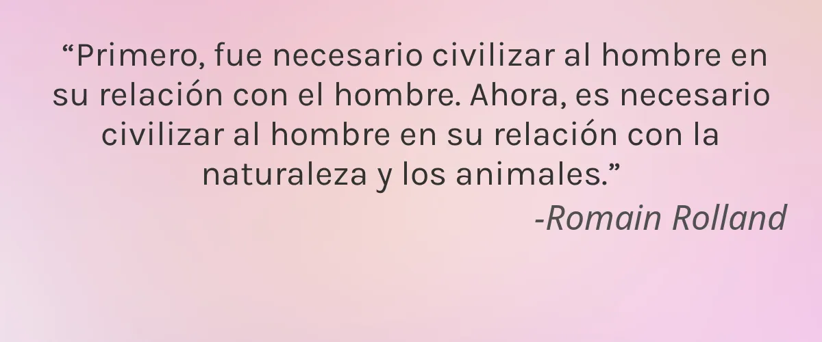 Seed and Sour 4 Cruelty Free Seed and Sour cita-Romain Rolland