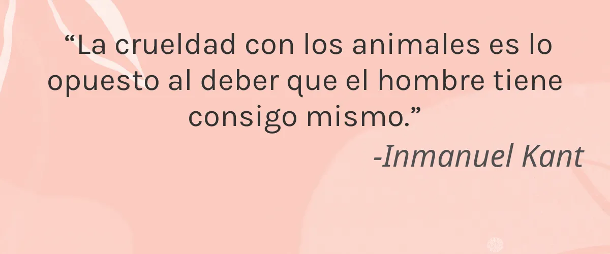 SENSIONA 4 Cruelty Free SENSIONA cita-Inmanuel Kant