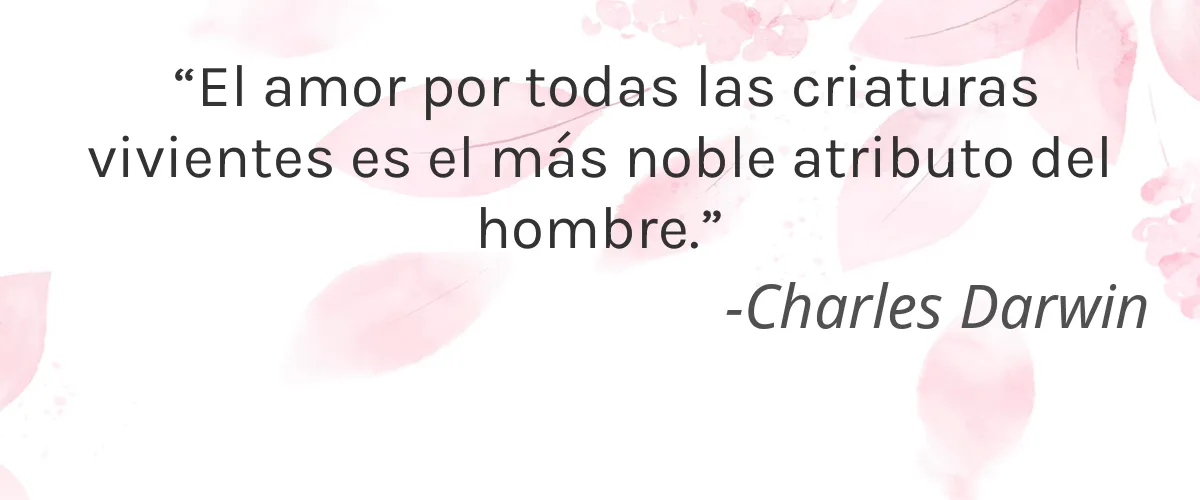 Serum No. 5 4 Cruelty Free Serum No. 5 cita-Charles Darwin