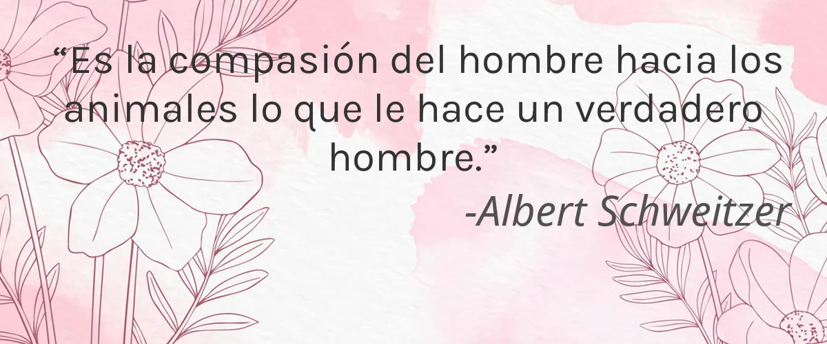 SEYTÚ Cosmetica 4 Cruelty Free SEYTU Cosmetica cita-Albert Schweitzer
