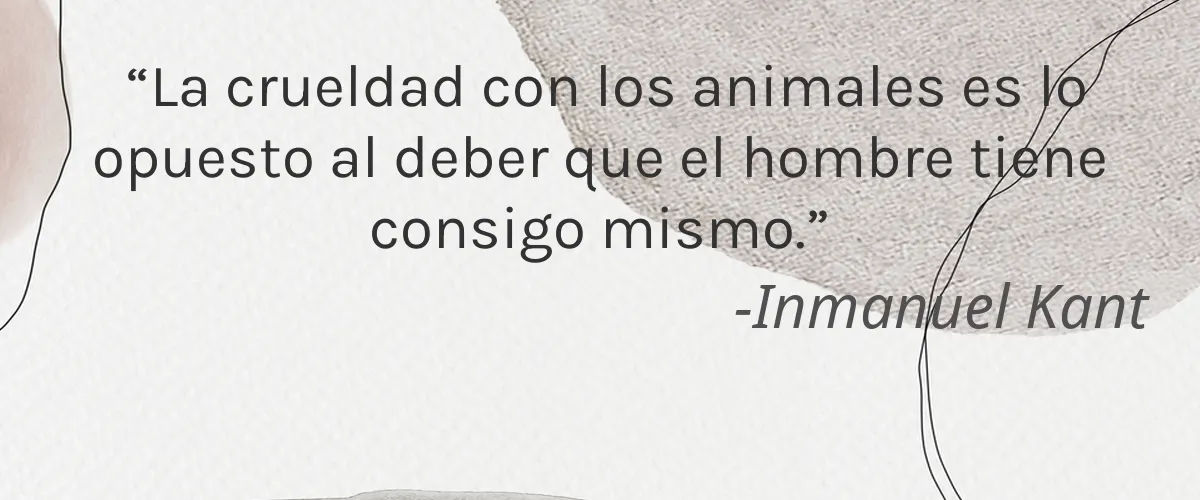 SkinOMs 4 Cruelty Free SkinOMs cita-Inmanuel Kant