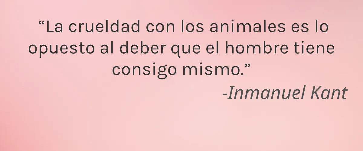 Soap and Pamper 4 Cruelty Free Soap and Pamper cita-Inmanuel Kant
