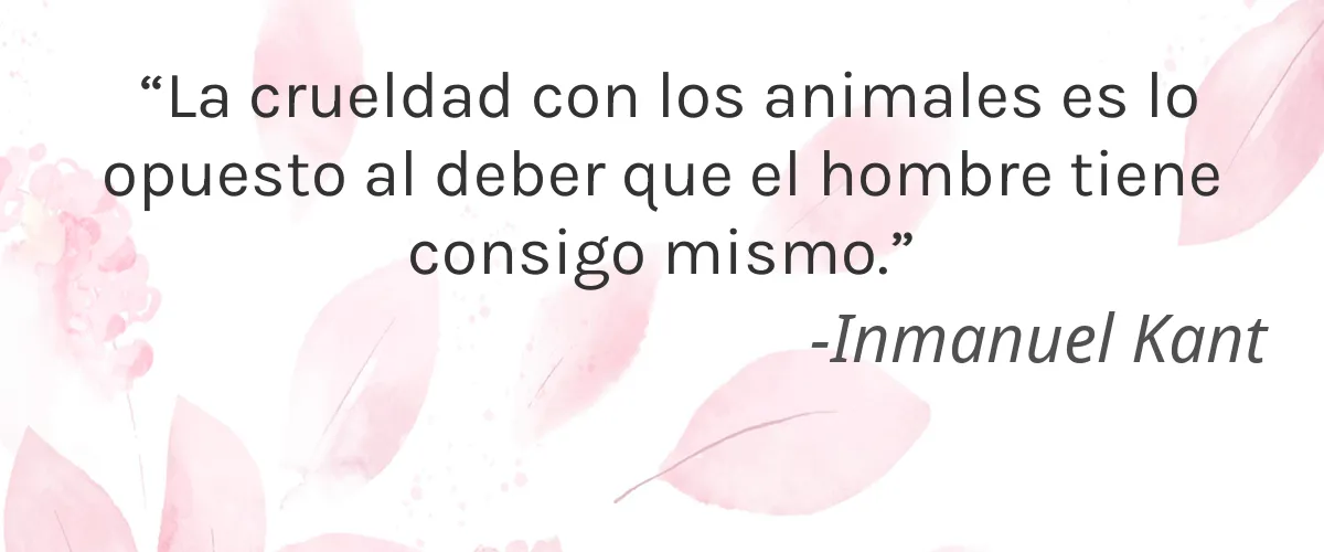 Soaper Duper 4 Cruelty Free Soaper Duper cita-Inmanuel Kant
