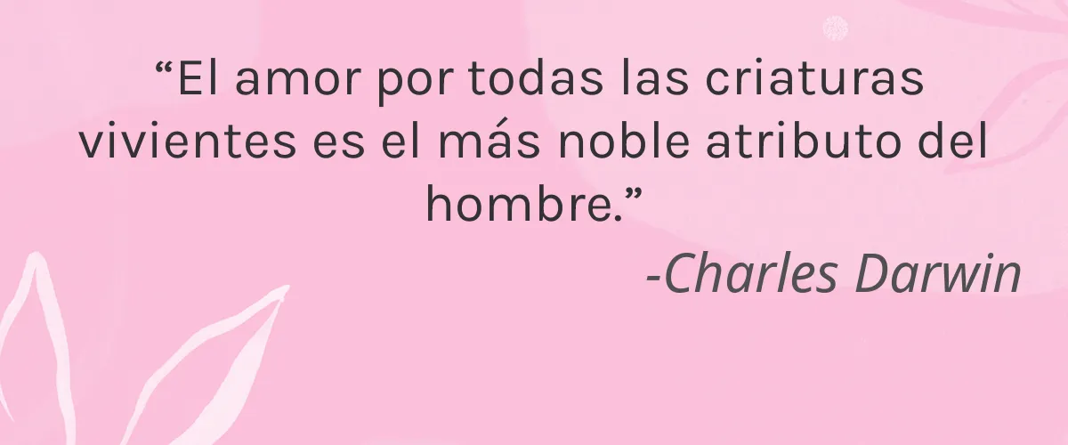 SOAPHORIA 4 Cruelty Free SOAPHORIA cita-Charles Darwin