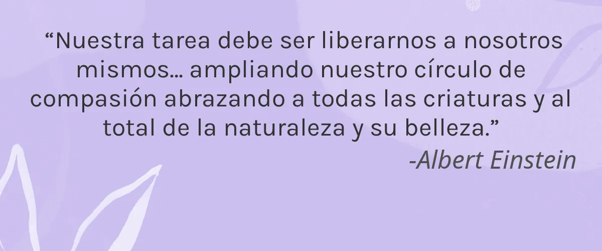 sober care 4 Cruelty Free sober care cita-Albert Einstein