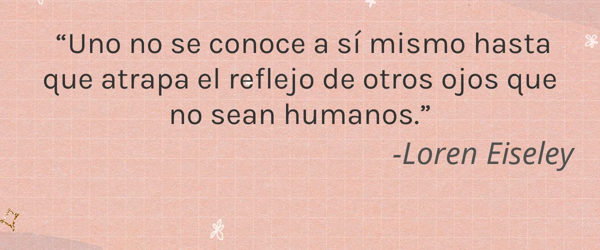 Soularoma 4 Cruelty Free Soularoma cita-Loren Eiseley