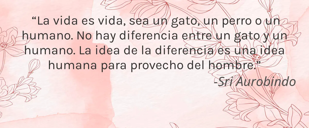 Cruelty Free Spica Organics cita-Sri Aurobindo