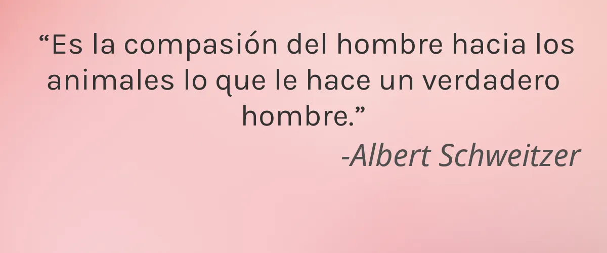 StimuNail 4 Cruelty Free StimuNail cita-Albert Schweitzer